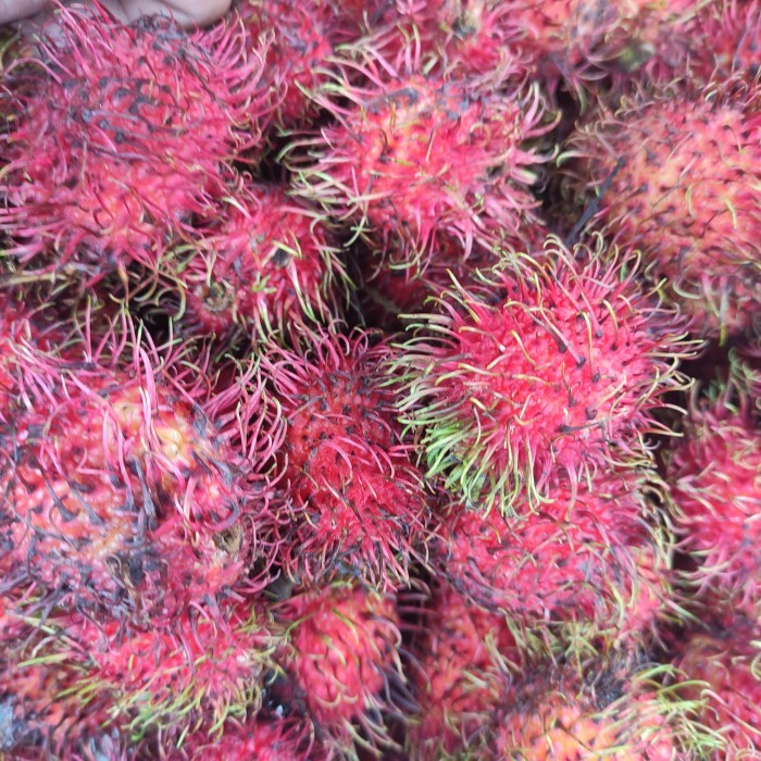 

buah rambutan pasar online makassar