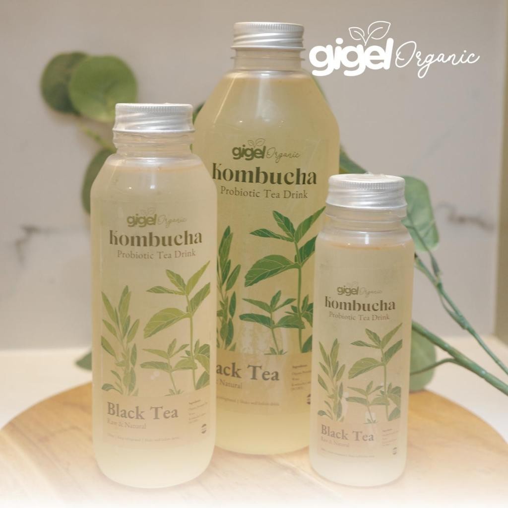 

Kombucha Gigel Organic - Original