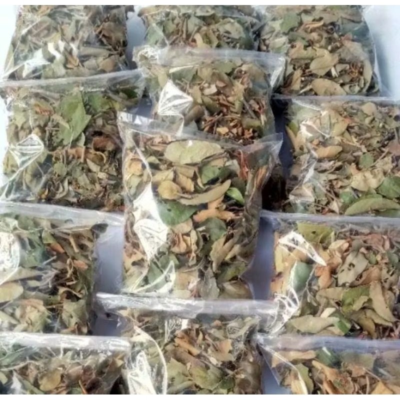 

Baru promo benalu jeruk 500 gram Lestari-Desaku