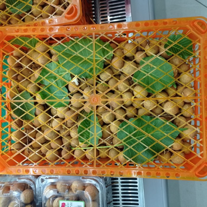 

Lengkeng box 5 kg fresh manis hampers imlek