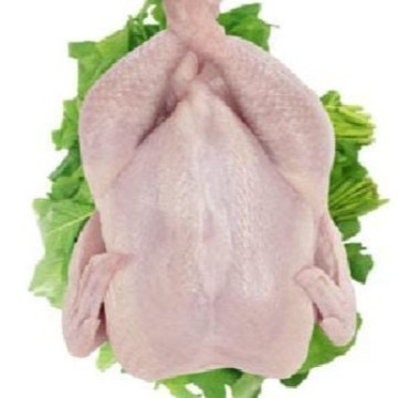 

Ayam Potong Broiler 1000gram