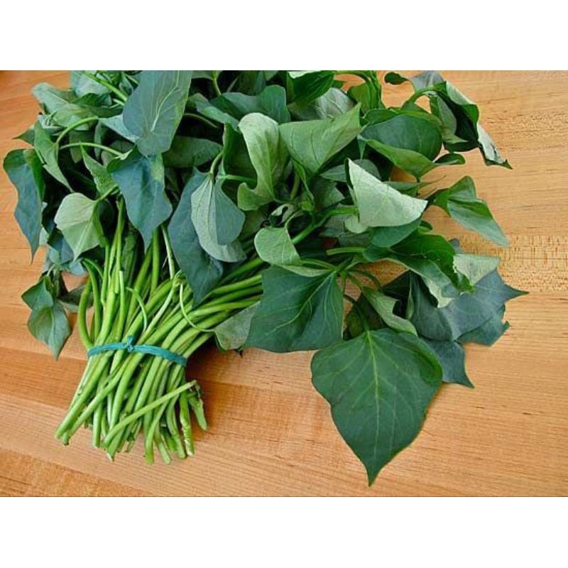 

Daun Ubi ikat