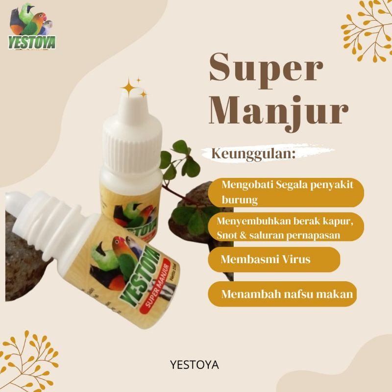 READY SUPER MANJUR YESTOYA OBAT SEMUA BURUNG SAKIT INFEKSI SALURAN PENCERNAAN PERNAFASAN KURUS NYILE