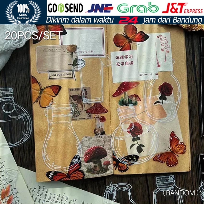 

Set DIY Herbarium Bookmark & Stiker Bunga Kering / Koleksi Dekorasi Buku & Scrapbook Transparan Tema Musim Gugur
