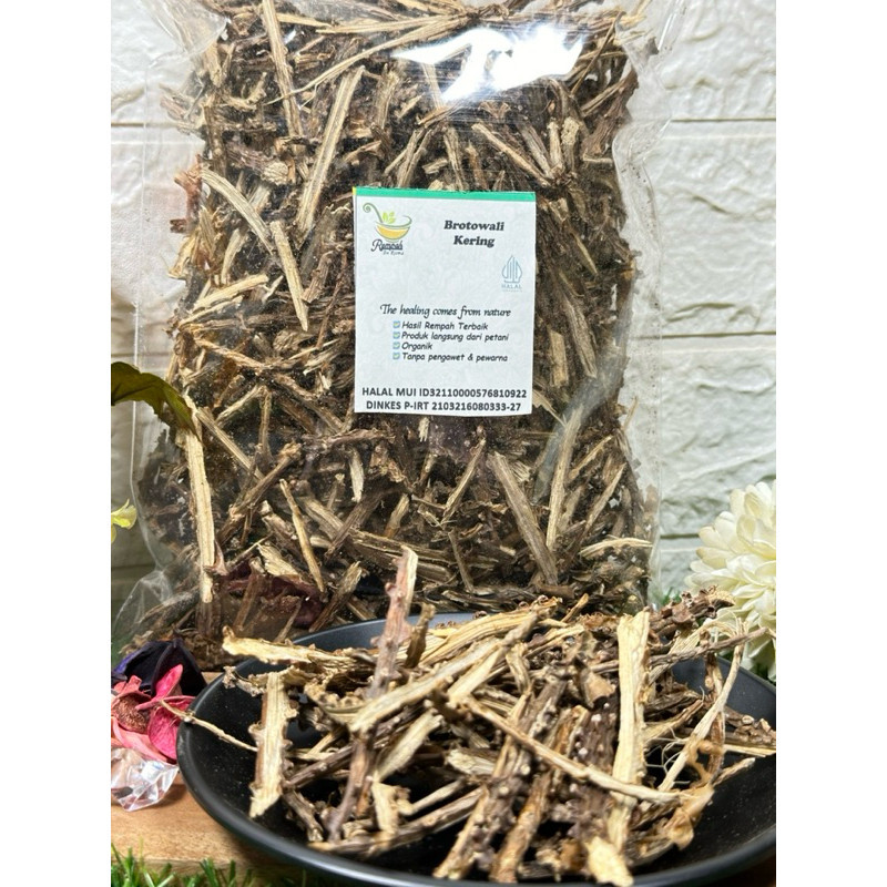 

Brotowali Kering 500 Gram - Rempah Bu Risma