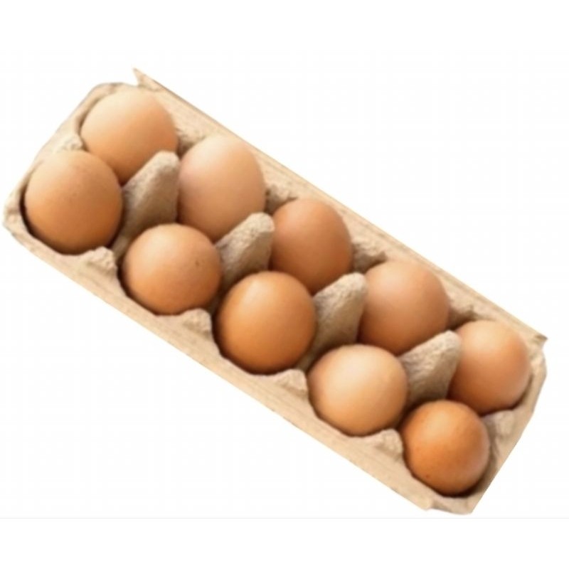

PROMO!!! telur ayam ras 10 butir / TELUR AYAM FRESH