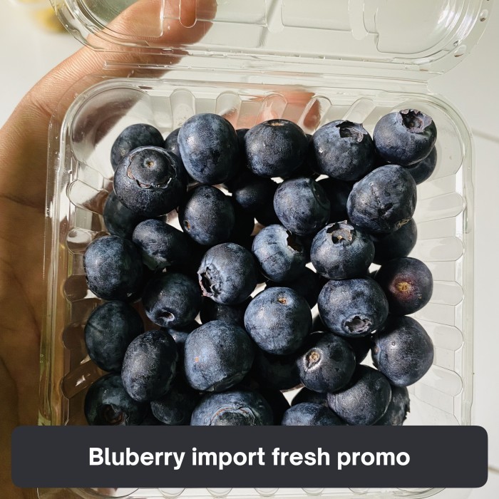 

Blueberry impor fresh 125 grm promo termurah