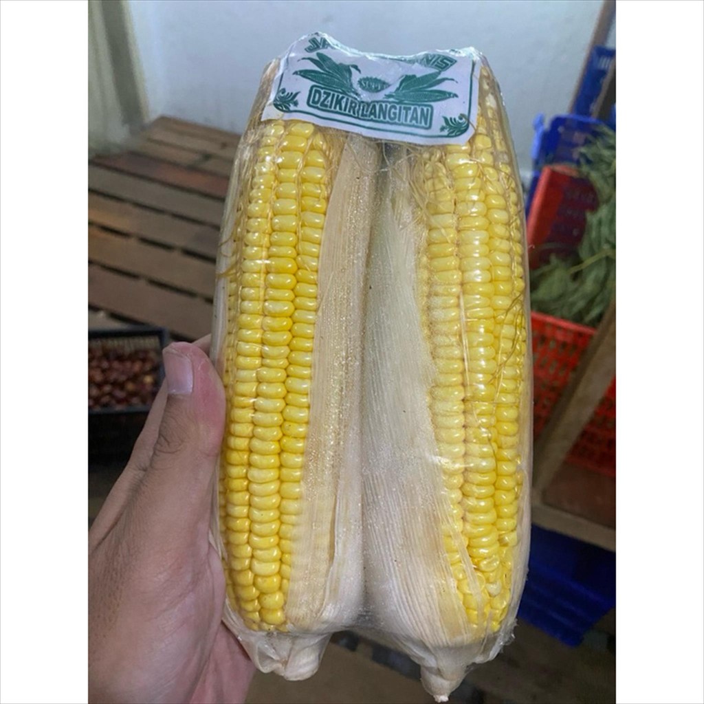 

JAGUNG MANIS PILIHAN FRESH 2 PCS