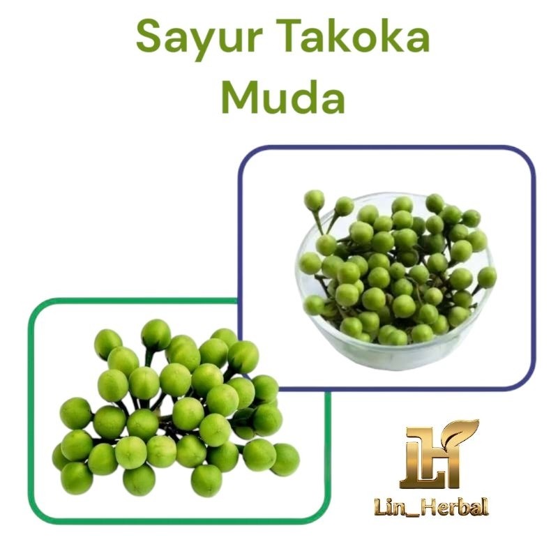 

Buah Takokak-Cipokaka-Tekokak Segar Organik Food 300 Grm