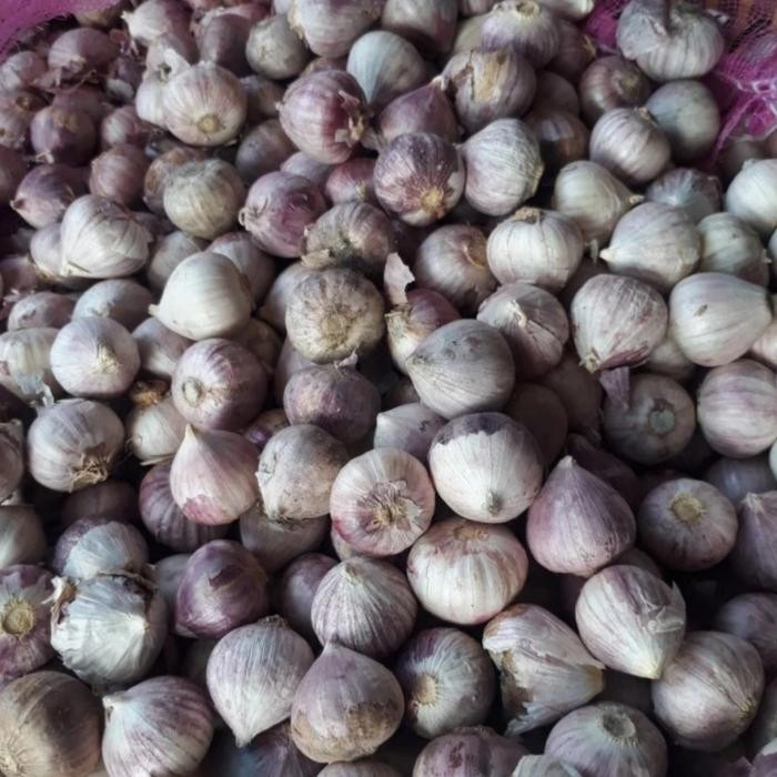 

Bawang Putih Tunggal - Lanang Fresh - Sedang 500 Gram