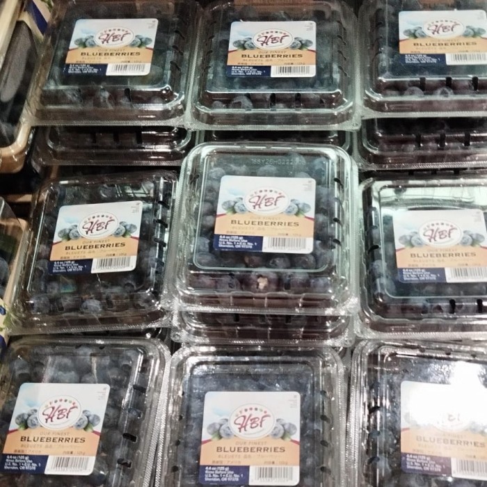 

Super promo Blueberry jumbo australia manis pack 125gr