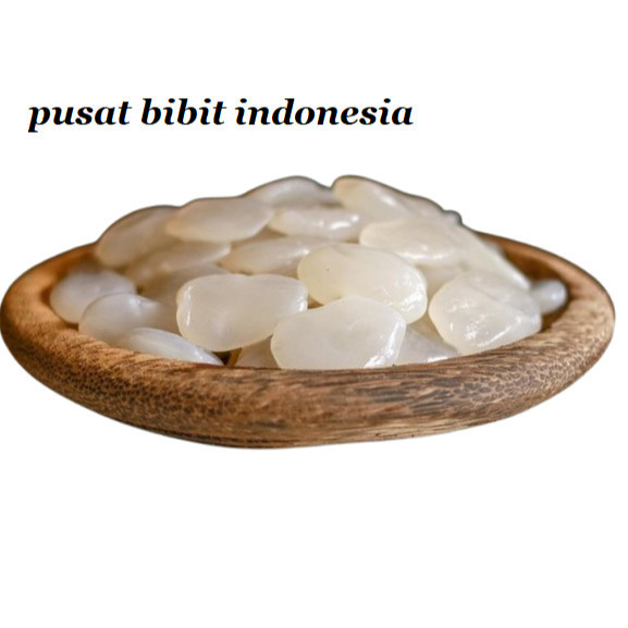 

buah aren kolang kaling 1 kilo kwalitas premium .