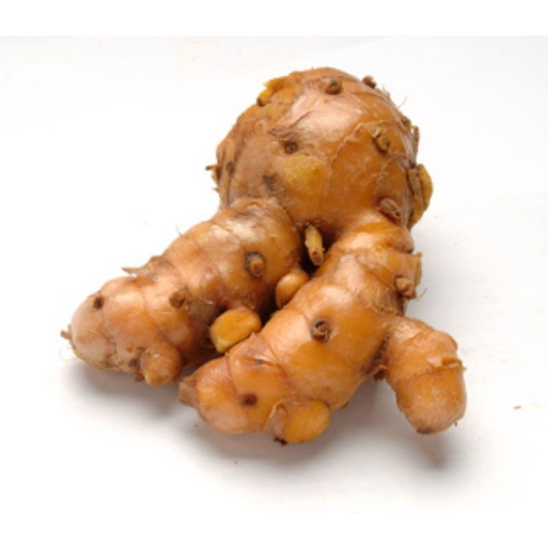 

Termurah TEMULAWAK ORGANIK 1KG temu lawak khusus calon/bakal bibit