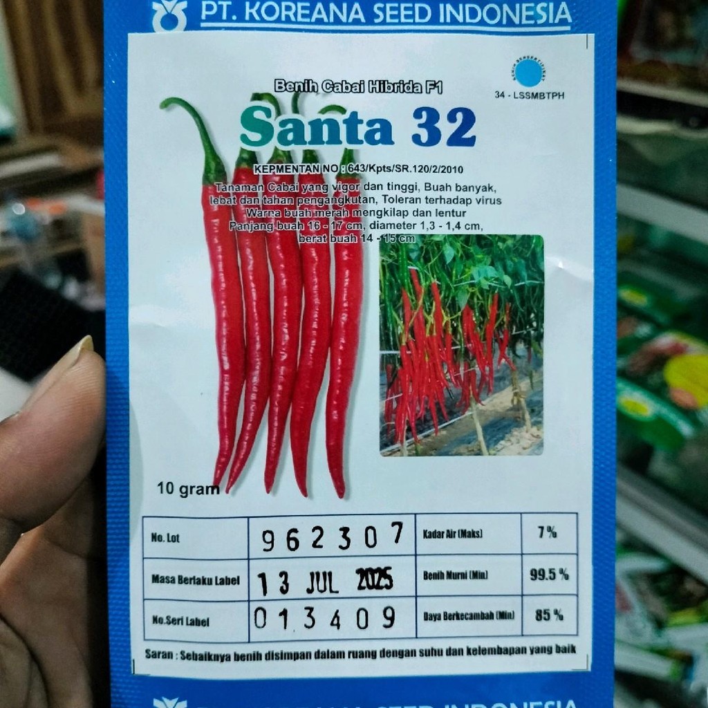 Benih Cabe Besar Santa 32 F1 10gr Original Pabrik Cabai Hijau