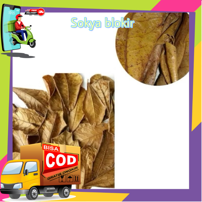 

kebutuhan aquarium Daun ketapang kering /matang
