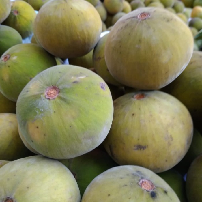 

Buah kecapi