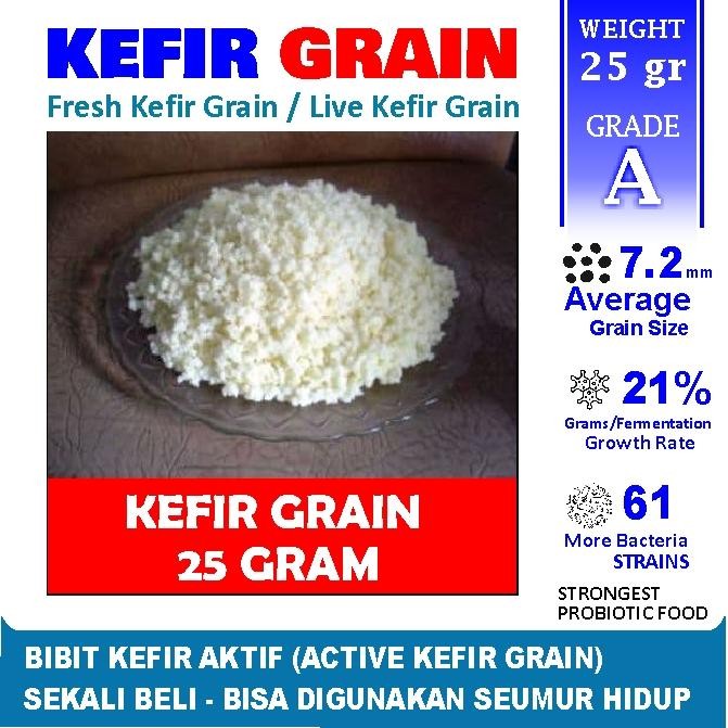 

BIBIT KEFIR HIDUP / ACTIVE KEFIR GRAIN 25 Gram KEFIR CULTURE GRADE A