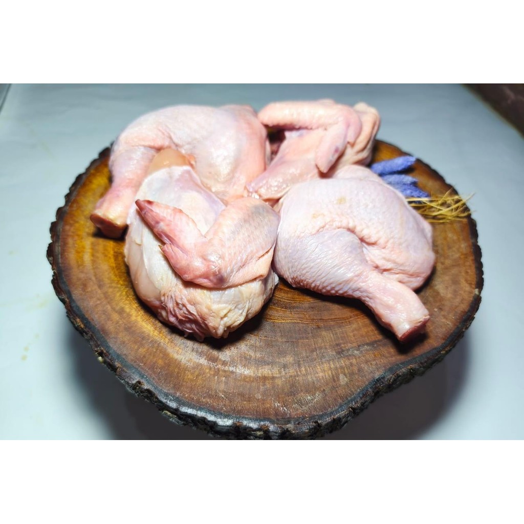 

Ayam Boiler Potong 0.7-0.8 / Ayam Potong 700-800gr