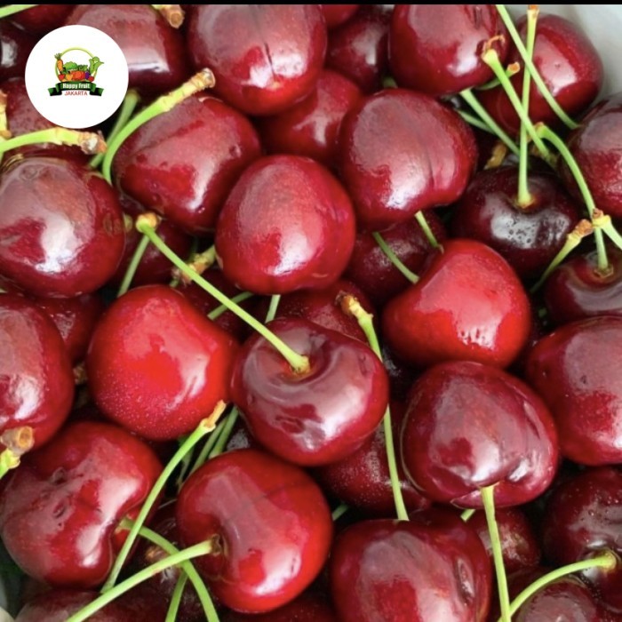 

Promo cherry Red fresh | Buah ceri merah | cherry red USA fresh 500gr