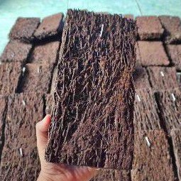 MEDIA TANAM PAPAN AKAR PAKIS