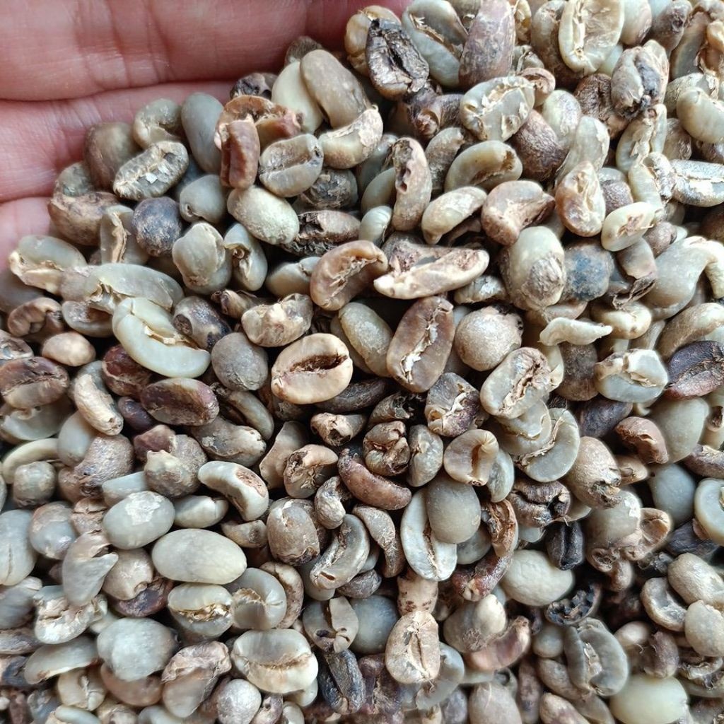 

Green Bean Arabika Gayo Semiwash/WH