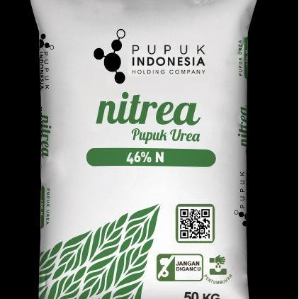 PUPUK NITREA/UREA KUJANG NITROGEN 46%