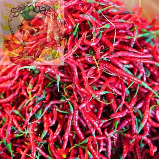 

SambaL Galery Cabe Merah Keriting Segar 500 Gr Pengiriman Cepat