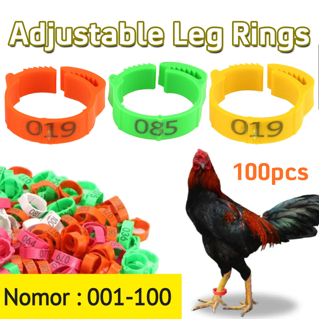 100PCS Ring Kaki Ayam Adjustable Bebek Klip Gelang Unggas Plastik Cincin Kaki Tanda Ring