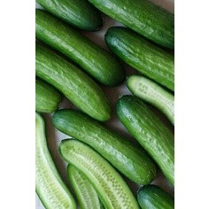 

Timun Lokal mayfresh 250gr