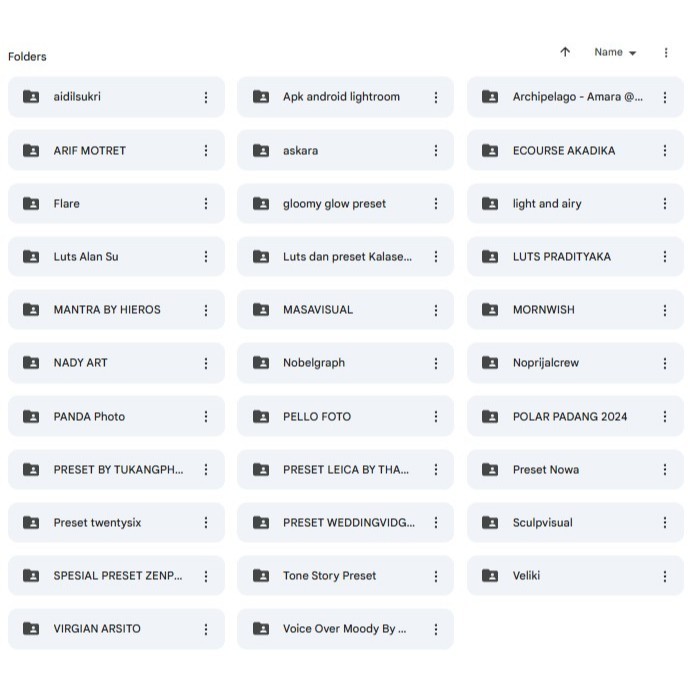 Paket All Preset & Luts Vendor Wedding Original