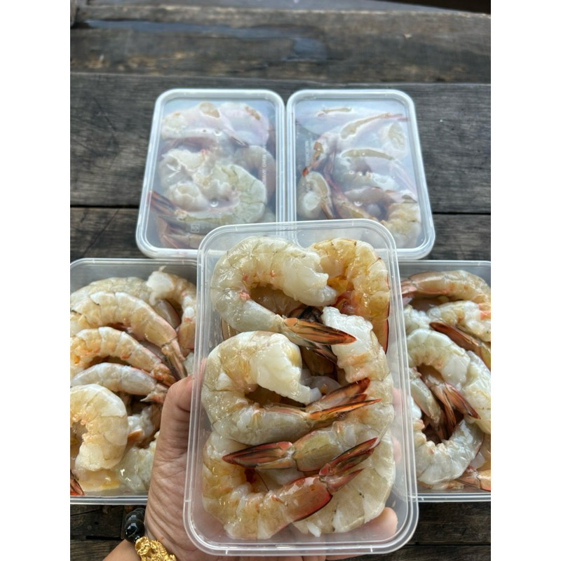 

NEW [TERMURAH!] UDANG KELONG SIZE 15-20 BERSIH TANPA PENGAWET DAN OBAT”an PREMIUM