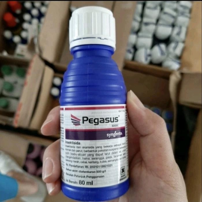 Insektisida PEGASUS 80ML