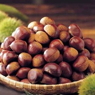 

[Best Seller] Chestnut Import Korea 500Gr