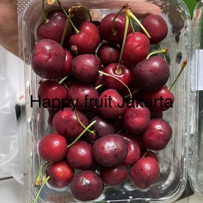 

Cherry Red fresh | Buah cherry Australia super | Cherr red koala 500g