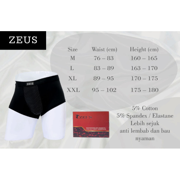 SALE -Zeus Underwear Celana Dalam Kesehatan Pria - M, 2 pcs