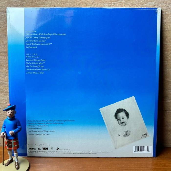 PIRINGAN HITAM / VINYL WHITNEY HOUSTON - WHITNEY (1LP,CLRD)