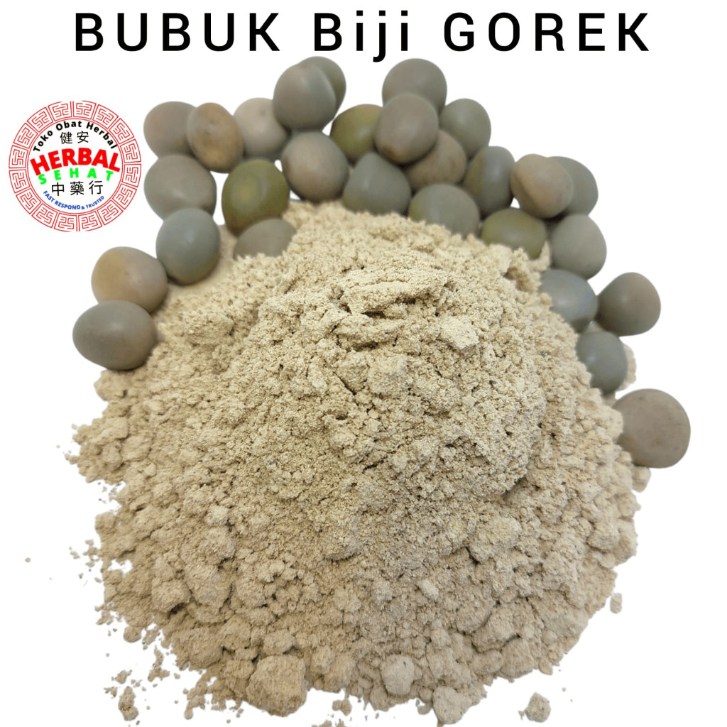 

Bubuk Biji Gorek / Serbuk Buah Kebiul - Kalaloyang - Biji Paring Batung 100% Asli Tanpa Campuran