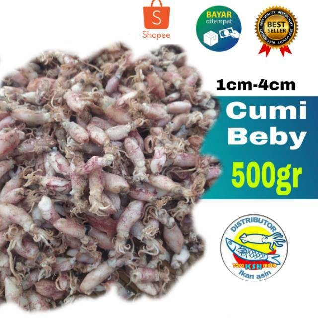 

ikan asin beby cumi-500gram