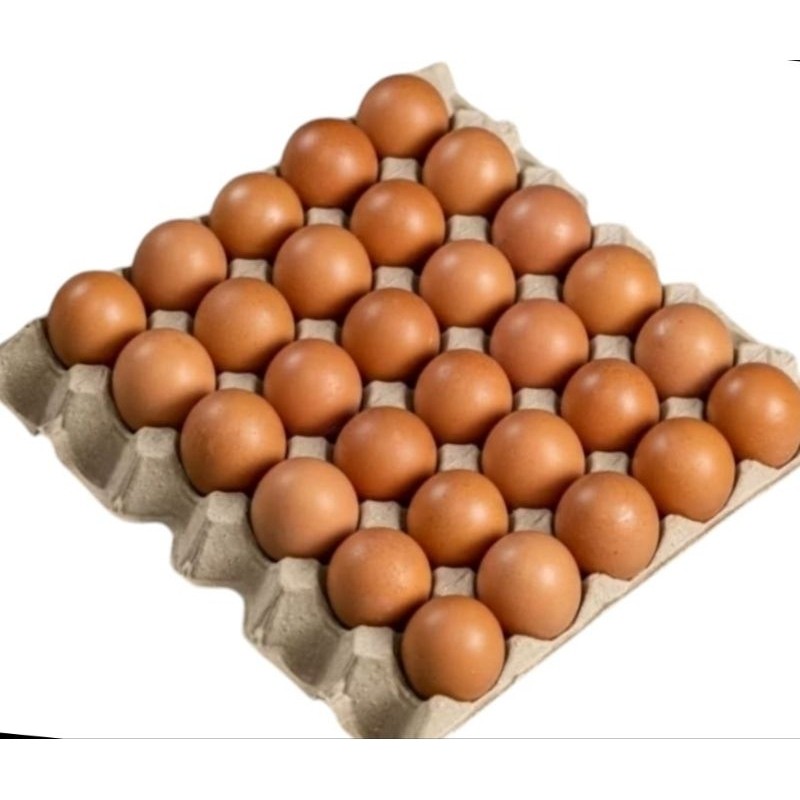 

Telur ayam ras 1rak isi 30 butir FRESH