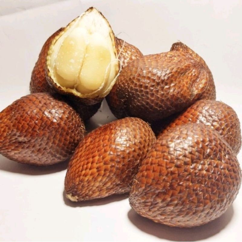 

Salak pondoh Super 2 Kg Free Ongkir