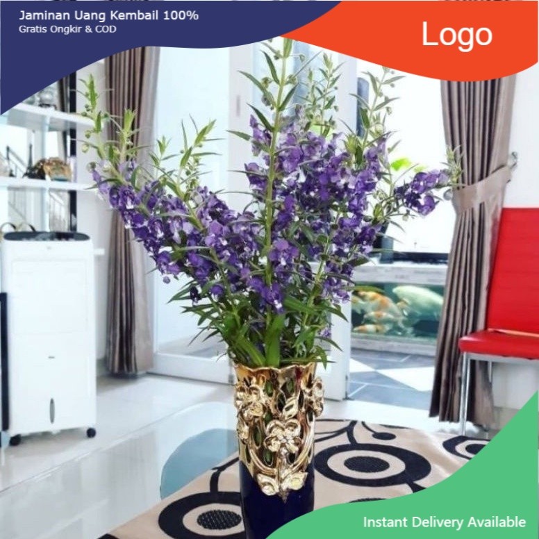 ## ( BISA COD ) Tanaman Bunga Lavender Asli Pengusir Nyamuk / Tanaman Hias Lavender Bunga Ungu & Put