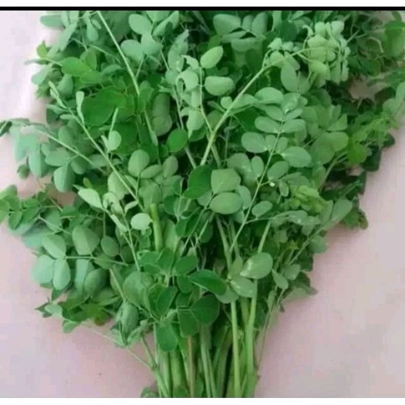 

daun kelor asli/250g