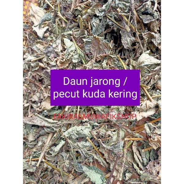 

DAUN PECUT KUDA / DAUN JARONG KERING BUNGA UNGU PECUT AM