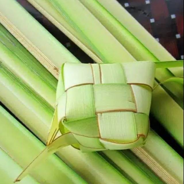 

Daun kelapa muda Daun ketupat/lembar