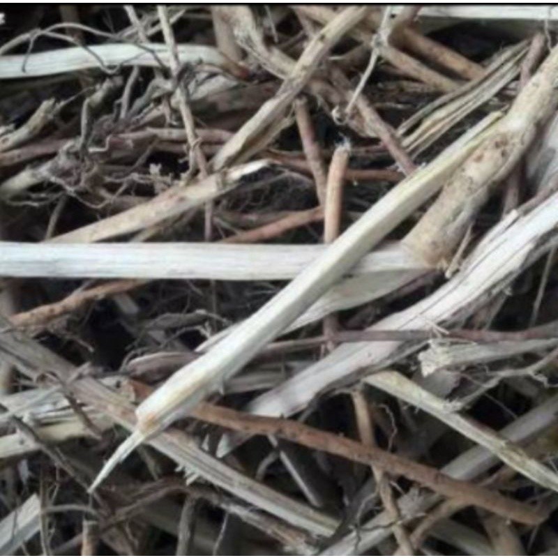 

Baru akar pinang kering-akar pohon jambe kering 500 gram Lestari-Desaku