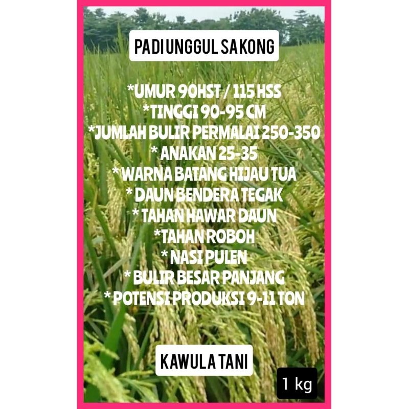 Benih padi unggul SAKONG 1kg