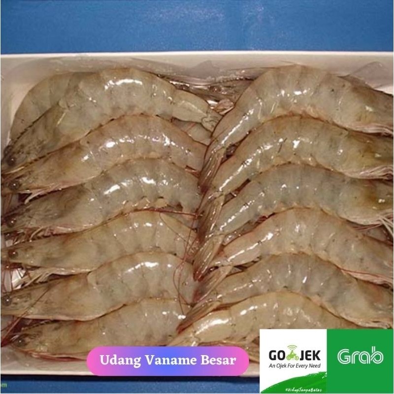 

Udang Vaname Besar Segar 1kg