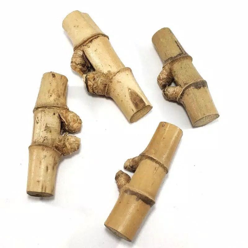 Borongan 10pcs bambu petuk