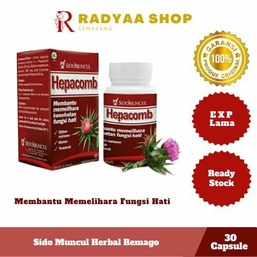 

Sido Muncul Herbal Hepacomb 30 Kapsul - Kesehatan Fungsi Hati | Obat Herbal Pemelihara Kesehatan Hati