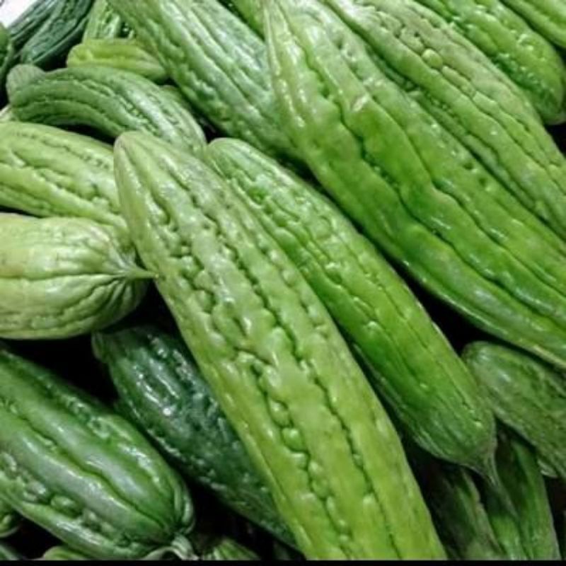 

Pare Segar Siap Masak